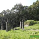 황림 묘 이미지