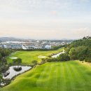 디아너스 이미지