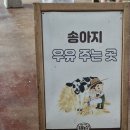 둘리 농장 | 전북 고창 여행코스 추천 | 상하농원 먹이주기 체험 후기 | 입장료 꿀팁 포함