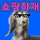 지스틸 | 지샥 지스틸 흑금 GST-210GD 2년째 사용후기