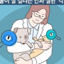 반려마루 동물병원 이미지