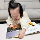 송스마켓 | 돌 아기 책육아 아람 소전집 종류 비교 및 추천 리스트