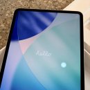 백프로PC | Apple 2025 아이패드 프로 11(M5 모델) 스탠다드 글래스 내돈내산 후기