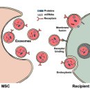 제일2차동물메디컬센터 이미지