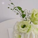 하마마베이크 네이버블로그