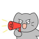 뼈앤돈 이미지