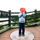 경천대관광지 | 상주 산책하며 멋진 경치를 볼 수 있는 [경천대 국민관광지]