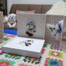 펫 목욕하는날 이미지