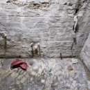 디자인드마리 이미지