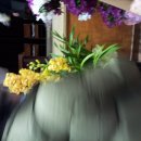 하라부동산공인중개사사무소 이미지