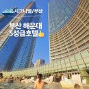 시그니엘 | 해운대호텔 추천 시그니엘 부산 후기 수영장 예약팁