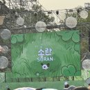 러브썸(LOVE SOME) | 우리의밤하늘가!득!차!게![LOVE SOME FESTIVAL : 러브썸 페스티벌 도영 후기]