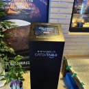 신촌로 47번길L | 창원 상남동 고기 맛집 초필살 껍데기 솔직 후기 웨이팅 꿀팁!