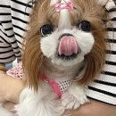 해와달동물병원 이미지