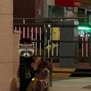 김포애견클럽 이미지