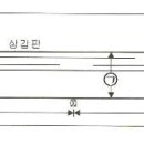 건현수선