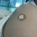 동마산보건지소 | B형 간염 예방접종 동마산 보건소 1차 접종 후기 (가격 부작용 접종간격 )