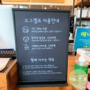 도그애견 이미지