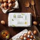 복지농원 | 상하농원 꼬소한 동물복지 무항생제 유정란 후기와 경험 추천