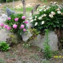 대자연농원 이미지