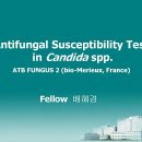Antifungal Susceptibility Test in Candida spp. 이미지