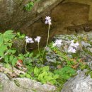 봉화산장 이미지