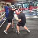 고잔복싱 이미지