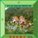 선유리공인중개사사무소 이미지