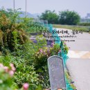 장미카페 - 청양군 | 장미카페