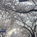 우리동내 이미지