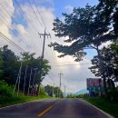 경강로/올림픽로 이미지