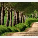 우리.다 이미지