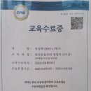 광주 고양이분양 브로스펫 네이버블로그