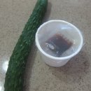 오이화원