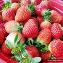 광석농장 이미지