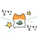 쿠라르눈썹속눈썹네일