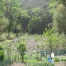 포항시북구43 이미지