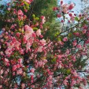 정열공인중개사사무소 이미지