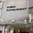 도일약국 이미지