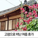 고령성주축협한우명품관 | 고령 여름 휴가지 # 개실마을 고택과 한우명품관의 먹거리 / 제4기 온라인 서포터즈 장은희