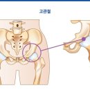 힙짐(HIP GYM) 이미지