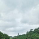 이삭농약사 네이버블로그