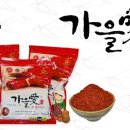 (주)샘초롱