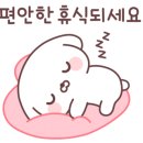 대구가톨릭대학교 박물관 이미지