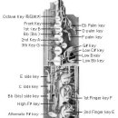 색소폰 기초 이미지