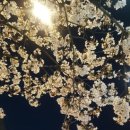 강릉원예농협하나로마트 솔올점 이미지