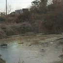 신안목장2 이미지