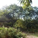 집현면1 이미지