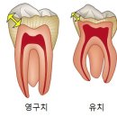 강북편한치과의원 이미지