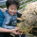 민재목장 이미지